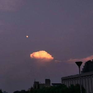 丝袜老师自慰摸下面
