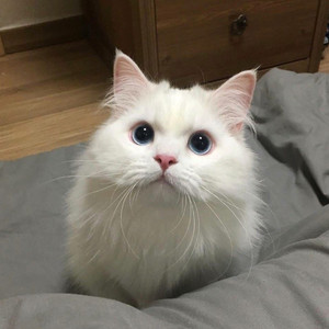 丝袜老师自慰摸下面
