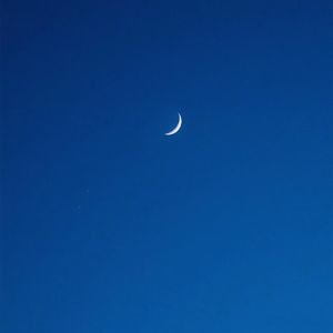 丝袜老师自慰摸下面
